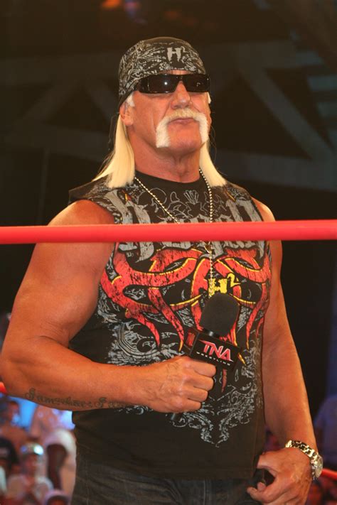 hulk hulk hogan